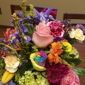 Meet your Posher, Debbie